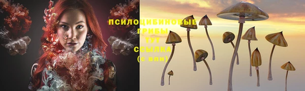 ECSTASY Лиски