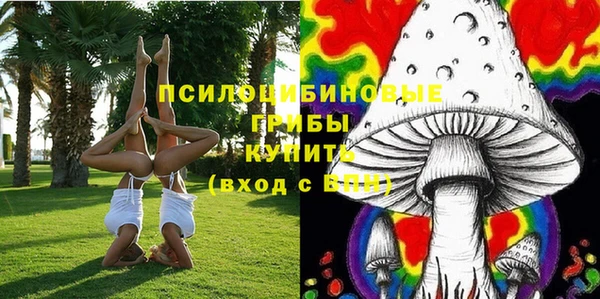 гидропоника Липки