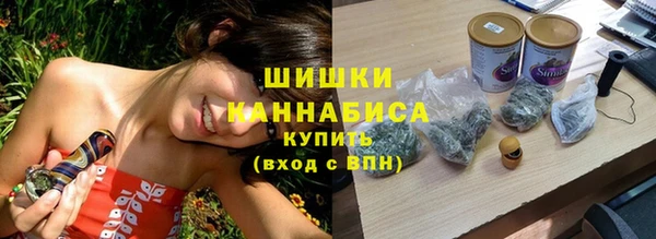 PSILOCYBIN Пенза