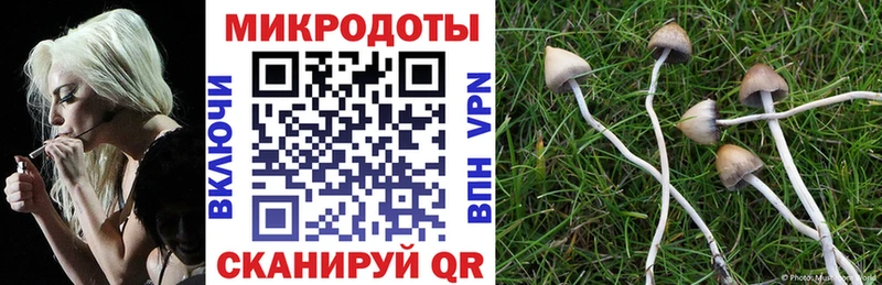Галлюциногенные грибы ЛСД купить наркотики цена Омутнинск